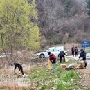 상관중학교 이미지