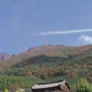 표충사2 이미지