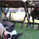 봉주르봉구 이미지