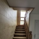 신트라움 이미지