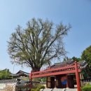 오산생태하천길(삼남길) 이미지