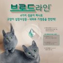 일산심야동물약국 이미지