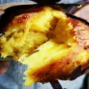 해수농장 이미지