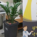 새순산부인과여성의원 네이버블로그