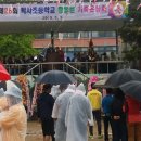 백사초교 이미지