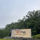고령오펠GC 1부 라운딩 후기