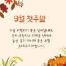 당구포켓클럽 이미지