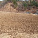 조은터부동산중개사무소 이미지