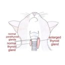 자연앤동물병원 이미지