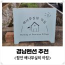 배나무실의아침