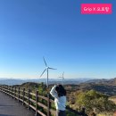 [Grip그립 라이브 : 오로랑]와이드 슬랙스 후기/30대여성의류 추천