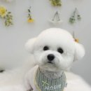 시스터상점 - 서구 | 시스터상점