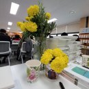 Galaxy S25 신형폰이 감지한 '경초별' 우주 이미지