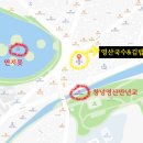 영산김밥