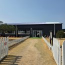 맘마목장 | 대구 동구 목장053 아이랑 피크닉 가볼만한 곳 동물 먹이주기 체험 예약 꿀팁