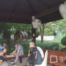 하남-신장-신장1호 이미지