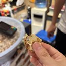 바자르 | 튀르키예 기념품 이스탄불 로쿰 가성비 맛집, Bolca Kuruyemiş 후기 (이집션바자르 31번보다 추천!)