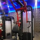 테리GYM 이미지