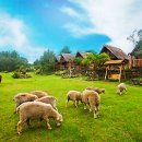 수공목장 이미지