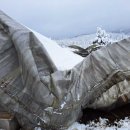 남성축사 이미지