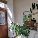 예루살렘미용실 이미지