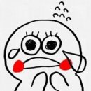 비에치씨 Daum카페