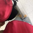 다녀올개 | Mingle with chommy, 춈미 종친회 다녀 온 후기