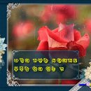 정*연 - 안양시 만안구 안양로398번길 | 정*연