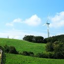 안반데기 목장 이미지