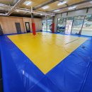 용인대 레고유도관 이미지