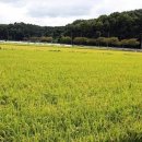 신창한의원 이미지