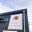 다인 앞 | 경기도 딸기체험농장 다인이네 딸기 체험농장 다녀온 후기 +딸기 아이스크림 만들기 체험