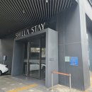 맘스테이 | 신라스테이 마포(홍대)1박 내돈내산 솔직후기(조식포함)