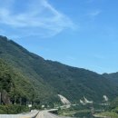 반딧불민박 이미지