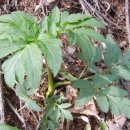 종합운동장역 3번출구 이미지