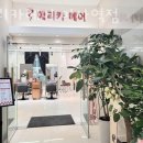 에리카 헤어 미사역점 | 망월동미용실 에리카헤어 미사역점 가격 위치 영업시간