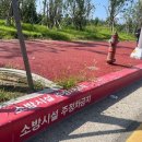 주정차단속-4 이미지