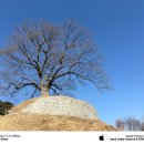 백제자동차정비 | 충청남도 부여군 부여가림성, 유태사지묘, 성흥산사랑나무 방문 후기