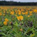 푸르른 농장 이미지