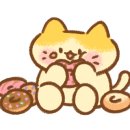 그릭데이고려대점