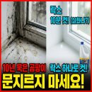 (자)유한가스 | 락스 하나로? 10년 묵은 창틀 곰팡이, 문지르지 않고 10분 컷 박멸한 후기