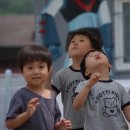 용성초등학교병설유치원 이미지
