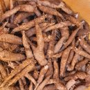 평창백덕산더덕 이미지