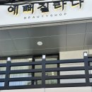 울산 남구 네일 신정동 로로미 네일 여리 치크네일 후기