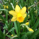 백양고등학교 이미지