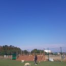 (주)레이넷 이미지