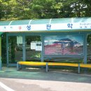 치유, 명상의 숲 이미지