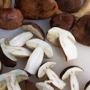 동진천길 이미지