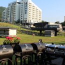 베어스 타운 이미지