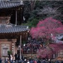 화엄사로
